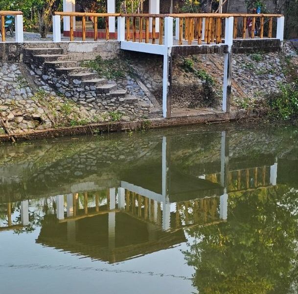 ขายที่ดินสวนพร้อมบ้าน และบ่อปลา 4.5 ไร่ อ.ลอง จ.แพร่ (พร้อมเข้าอยู่) บังกาโล 1 นอน ตกแต่งด้วยไม้สักแท้ สภาพใหม่พร้อมอยู่