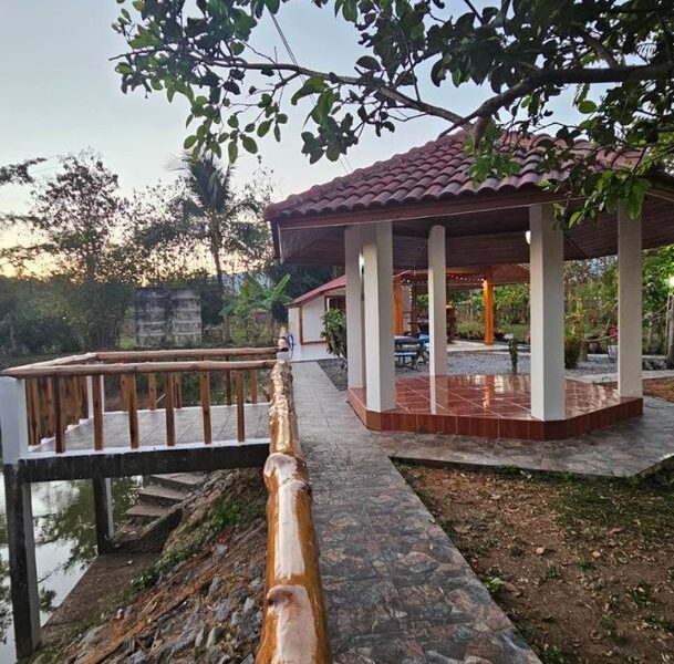 ขายที่ดินสวนพร้อมบ้าน และบ่อปลา 4.5 ไร่ อ.ลอง จ.แพร่ (พร้อมเข้าอยู่) บังกาโล 1 นอน ตกแต่งด้วยไม้สักแท้ สภาพใหม่พร้อมอยู่