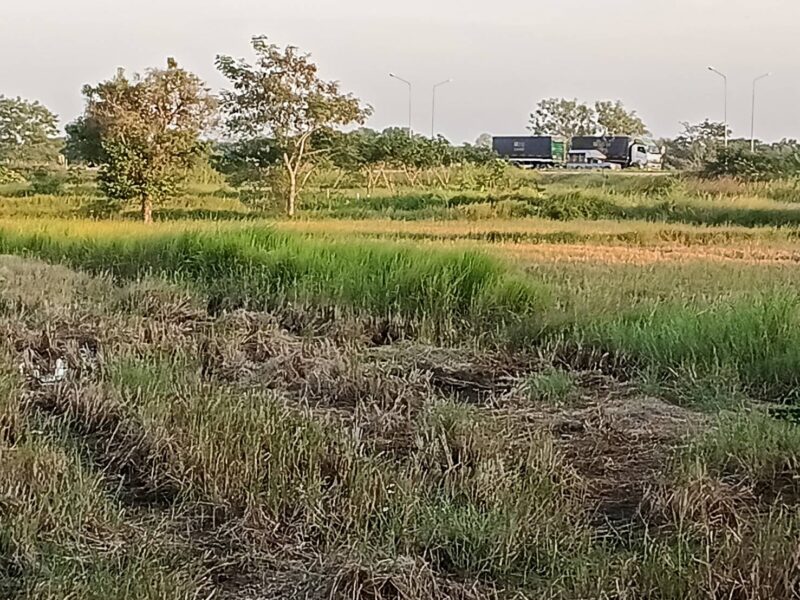 ขายที่ดินติดลำน้ำคลองสามไร่ ใกล้ถนนเลี่ยงเมือง 290 เพียง 200 เมตร