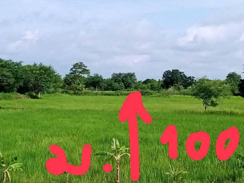 ขายที่ดินติดลำน้ำคลองสามไร่ ใกล้ถนนเลี่ยงเมือง 290 เพียง 200 เมตร
