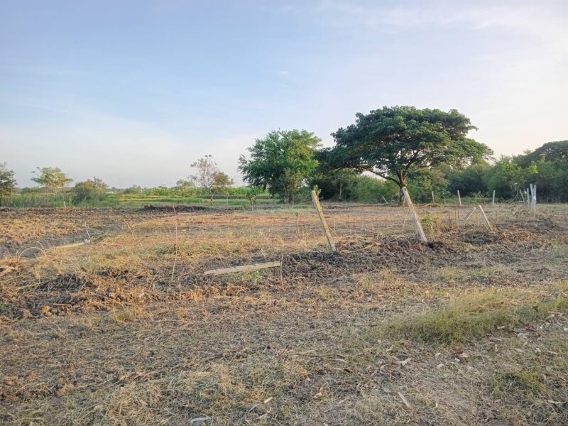 ขายที่ดินติดลำน้ำคลองสามไร่ ใกล้ถนนเลี่ยงเมือง 290 เพียง 200 เมตร