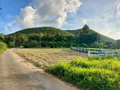 ขายที่ดินแปลงสวย 107 ตารางวา ทำเลดี ติดเนินเขา สันกำแพง เชียงใหม่
