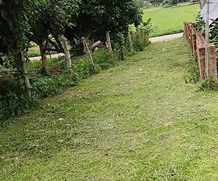 ขายที่ดิน ทำเลดีใกล้ถนนใหญ่ อำเภอพร้าว จังหวัดเชียงใหม่