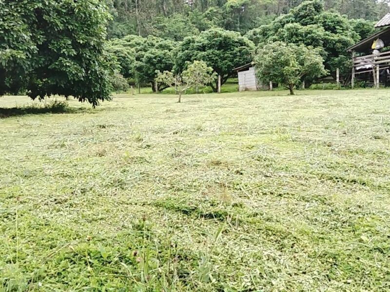 ขายที่ดิน ทำเลดีใกล้ถนนใหญ่ อำเภอพร้าว จังหวัดเชียงใหม่