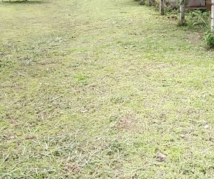 ขายที่ดิน ทำเลดีใกล้ถนนใหญ่ อำเภอพร้าว จังหวัดเชียงใหม่