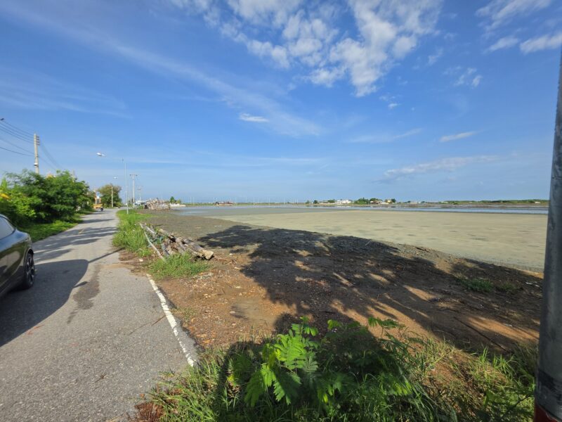 ขายที่ดินแปลงใหญ่ 50 ไร่ ทำเลดี แหลมผักเบี้ย จ.เพชรบุรี