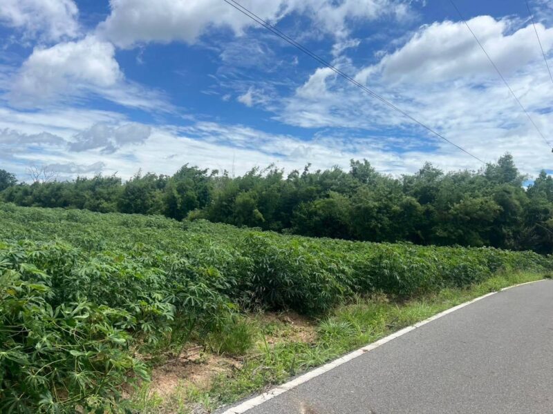 ขายที่ดินพร้อมตึก 6 ชั้น (ขายตามสภาพ) 104 ตร.ว. ซอยทองหล่อ 25 ใกล้ รพ.คามิลเลียน