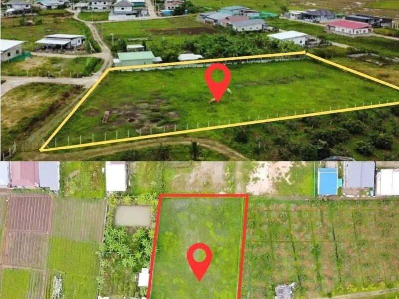 ขายที่ดินเปล่า ✅️เจ้าของขายเอง✅️ ทำเลดี แม่ริม เชียงใหม่ ‼️📌ราคาต่ำกว่าตลาดมาก‼️
