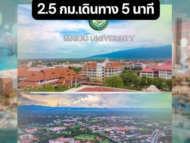 ขายที่ดินเปล่า ✅️เจ้าของขายเอง✅️ ทำเลดี แม่ริม เชียงใหม่ ‼️📌ราคาต่ำกว่าตลาดมาก‼️