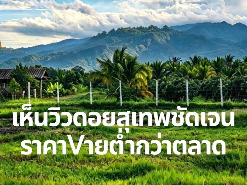 ขายที่ดินเปล่า ✅️เจ้าของขายเอง✅️ ทำเลดี แม่ริม เชียงใหม่ ‼️📌ราคาต่ำกว่าตลาดมาก