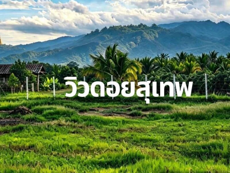 ขายที่ดินเปล่า ✅️เจ้าของขายเอง✅️ ทำเลดี แม่ริม เชียงใหม่ ‼️📌ราคาต่ำกว่าตลาดมาก