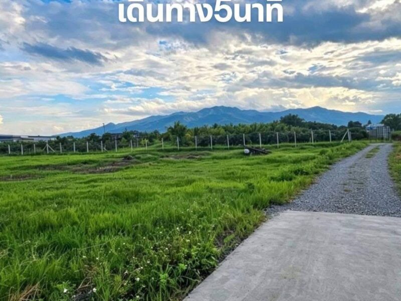 ขายที่ดินเปล่า ✅️เจ้าของขายเอง✅️ ทำเลดี แม่ริม เชียงใหม่ ‼️📌ราคาต่ำกว่าตลาดมาก