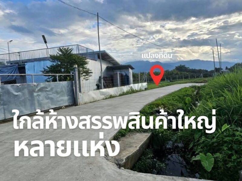 ขายที่ดินเปล่า ✅️เจ้าของขายเอง✅️ ทำเลดี แม่ริม เชียงใหม่ ‼️📌ราคาต่ำกว่าตลาดมาก