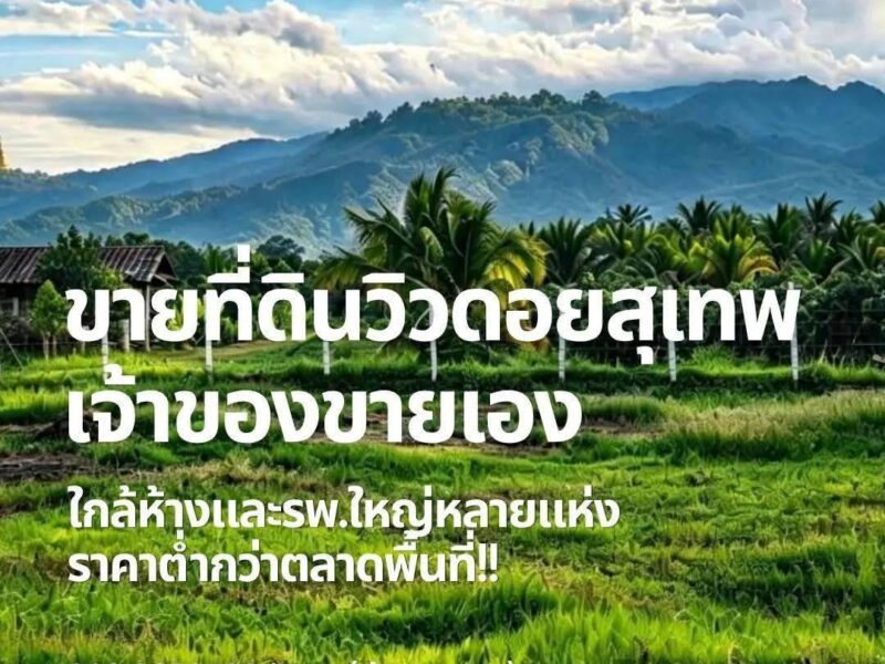 ขายที่ดินเปล่า ✅️เจ้าของขายเอง✅️ ทำเลดี แม่ริม เชียงใหม่