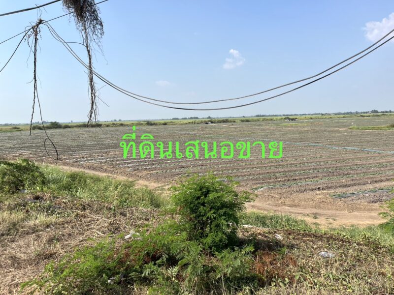 ขายที่ดินติดถนนสายอยุธยา อ่างทอง 083 610 6693
