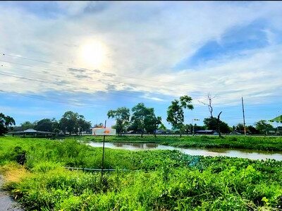 ขายที่ดิน 1 ไร่ ติดคลองรังสิต-นครนายก คลอง14 ใกล้กับมหาวิทยาลัยนานาชาติเซนต์เทเรซา ติดถนนลาดยาง บรรยากาศดี วิวคลอง