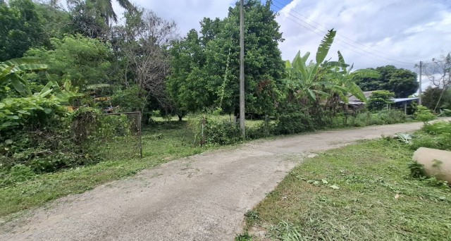 2388 ขาย ที่ดิน ที่ดินสันทราย เชียงราย ชั้นทั้งหมด 1 ชั้น