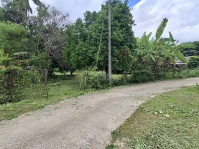 2388 ขาย ที่ดิน ที่ดินสันทราย เชียงราย ชั้นที่ 1