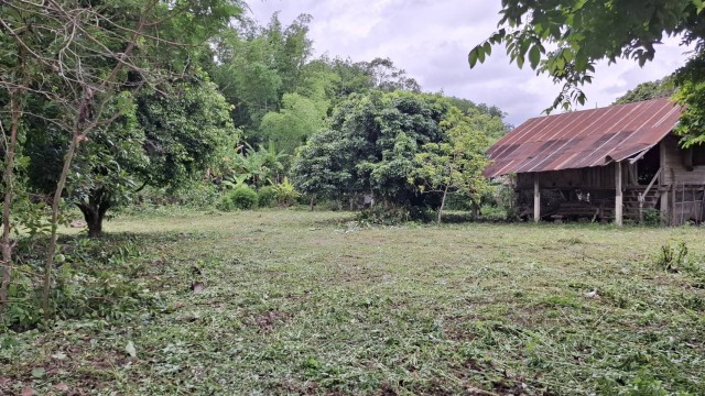 2388 ขาย ที่ดิน ที่ดินสันทราย เชียงราย ชั้นที่ 1