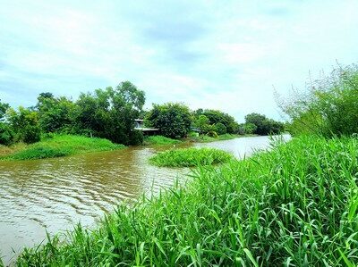 ขายที่ดินติดคลอง 1 ไร่กว่า องครักษ์ คลอง 25 หลัง มศว หน้าน้ำวิวสวย ด้านหน้าติดถนนคอนกรีต เหมาะปลูกบ้านสวน อยู่ยามเกษียณ ทำรีสอร์ท