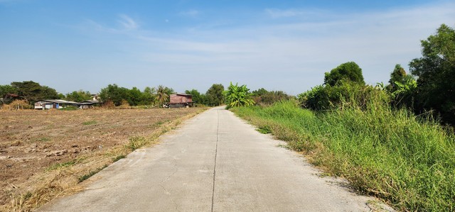 ขายที่ดินติดคลอง 1 ไร่กว่า องครักษ์ คลอง 25 หลัง มศว หน้าน้ำวิวสวย ด้านหน้าติดถนนคอนกรีต เหมาะปลูกบ้านสวน อยู่ยามเกษียณ ทำรีสอร์ท