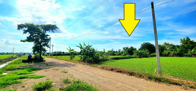 ขายที่ดิน คลอง 12 หนองเสือ 200 ตรว ติดถนน 8 ม. เหมาะปลูกบ้านสวน ทำเกษตรพอเพียงได้ อยู่ใกล้แหล่งชุมชน