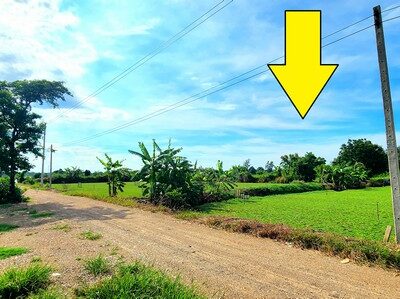 ขายที่ดิน คลอง 12 หนองเสือ 200 ตรว ติดถนน 8 ม. เหมาะปลูกบ้านสวน ทำเกษตรพอเพียงได้ ทำโกดัง อยู่ใกล้แหล่งชุมชน