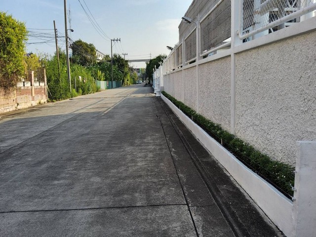ขายที่ดิน 300 ตรว. ซอยลาดพร้าว 88-1 ซอยกว้าง เข้าซอยไม่ลึก เดินทางสะดวก ใกล้เลียบด่วน ใกล้รถไฟฟ้าสายสีเหลือง