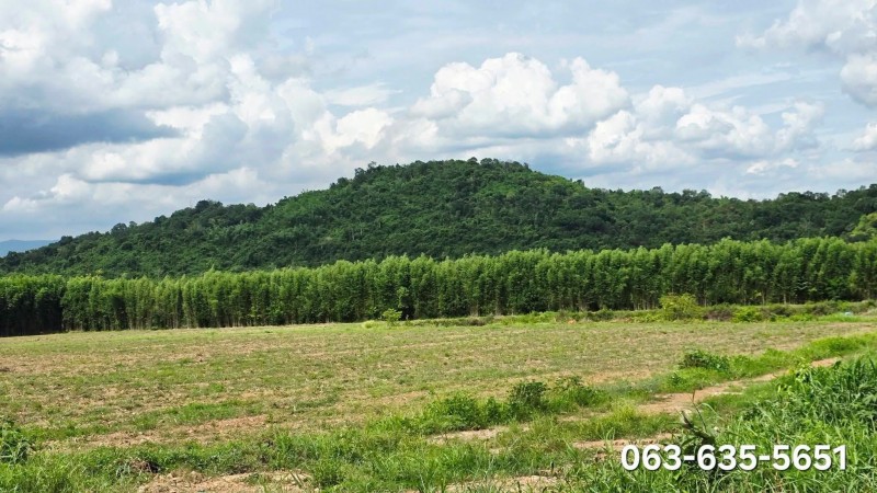 ขายที่เชิงเขาวิวสวย 24 ไร่กว่า ต.เขาเพิ่ม อ.บ้านนา จ.นครนายก สายสวนต้องดู เหมาะปลูกทุเรียน มีบ่อน้ำใหญ่ประมาณ 4 ไร่ น้ำไม่เคยแห้ง