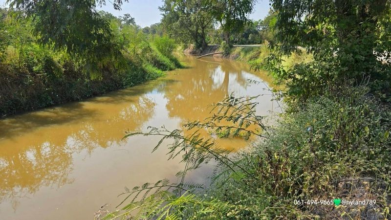 ขายสวนป่าพะยูงเกือบ 200 ต้น อายุ 15 ปี 3 ไร่ 1 งาน ใกล้แยกช้าง นครนายก เดินทางง่ายมาก เข้าออกสะดวก รถวิ่งถึงแปลงสบาย