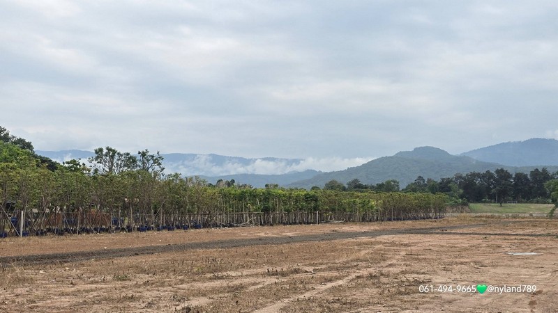 ขายที่ดินทำเลทอง หน้าติดถนน 4 เลน–หลังติดคลองบ้านนา ช่วงคลองกว้างมาก ทางเข้าออกง่าย ถมเต็มแปลงแล้ว ระดับเสมอถนน