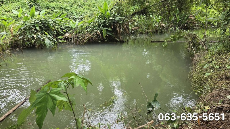 ขายที่ดินติดลำธารทุกแปลง เริ่มต้นแปลงละ 3 ล้าน ต.สาริกา อ.เมืองนครนายก ใกล้แหล่งท่องเที่ยวหลายแห่ง