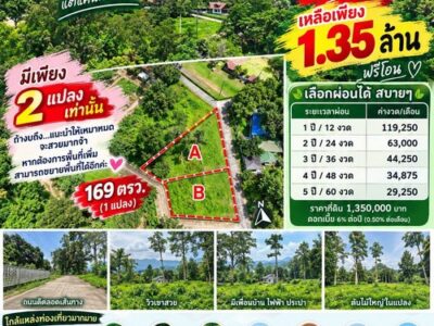 มาแล้วที่เนินแปลงเล็กที่รอคอย 169 ตรว. ต.สาริกา อ.เมืองนครนายก มีเพียง 2 แปลงเท่านั้น บรรยากาศดี วิวสวย ไม่เปลี่ยว