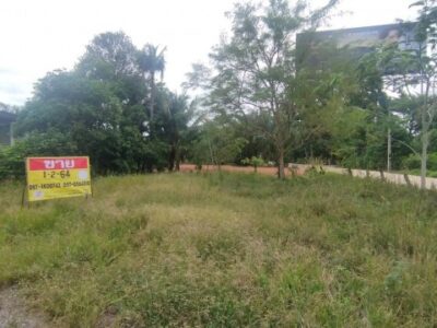 ขายที่ดิน 1-2-64 ไร่ พร้อมบ้าน ใกล้ท่าอากาศยานนานาชาติสุราษฎร์ธานี