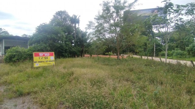 ขายที่ดิน 1-2-64 ไร่ พร้อมบ้าน ใกล้ท่าอากาศยานนานาชาติสุราษฎร์ธานี