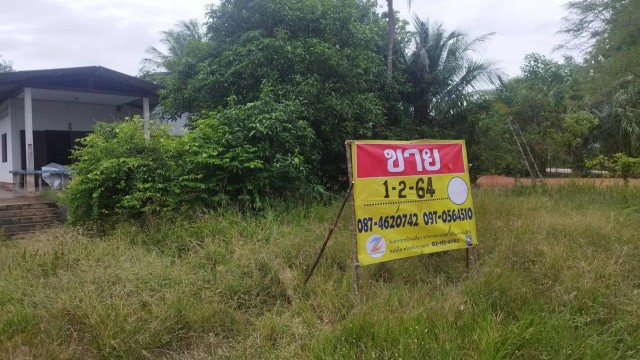 ขายที่ดิน 1-2-64 ไร่ พร้อมบ้าน ใกล้ท่าอากาศยานนานาชาติสุราษฎร์ธานี