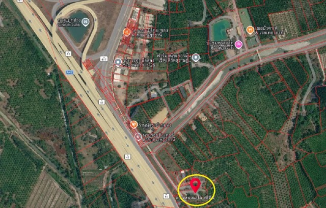 ขายที่ดิน 1-2-64 ไร่ พร้อมบ้าน ใกล้ท่าอากาศยานนานาชาติสุราษฎร์ธานี