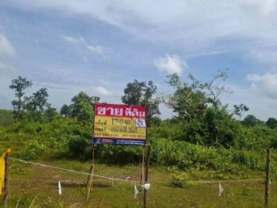 ขายที่ดิน 17-0-40 ไร่ ใกล้ถ.มิตรภาพ 283 เมตร เชียงหวาง อำเภอเพ็ญ จ.อุดรธานี