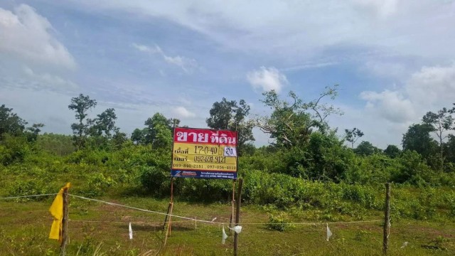 ขายที่ดิน 17-0-40 ไร่ ใกล้ถ.มิตรภาพ 283 เมตร เชียงหวาง อำเภอเพ็ญ จ.อุดรธานี