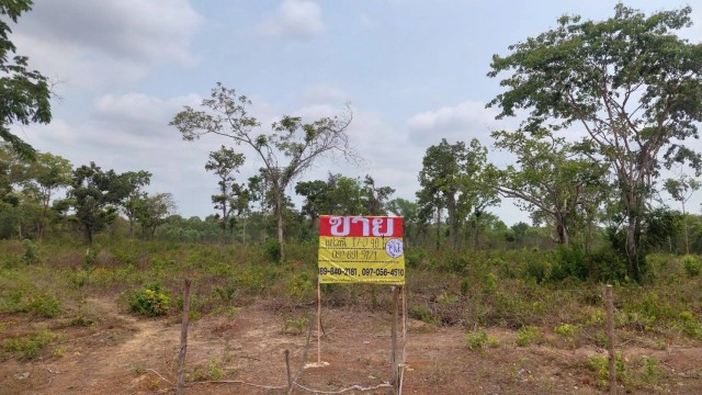ขายที่ดิน 17-0-40 ไร่ ใกล้ถ.มิตรภาพ 283 เมตร เชียงหวาง อำเภอเพ็ญ จ.อุดรธานี