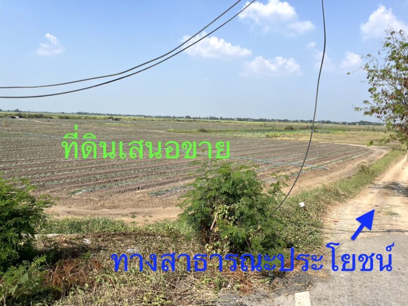 ขายที่ดินติดถนนสายอยุธยา อ่างทอง 083 610 6693
