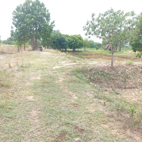 ขายที่ดินเปล่า เนื้อที่ 12 ไร่ เป็นที่นา บ้านค้อ อำเภอเมืองขอนแก่น