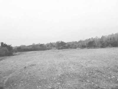 ที่ดินบ้านให้เช่าและขายราคาดี ที่ดินโฉนดแบ่งขายหล่มเก่าที่ดินบนเนินเขาวิวงาม หล่มเก่า เพชรบูรณ์ ใกล้ภูทับเบิก