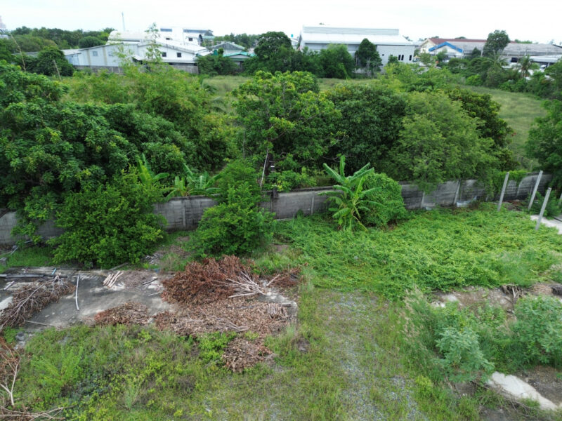 ให้เช่าที่ดิน 5.5 ไร่ ติดถนนใหญ่ 6 เลน (ทล.3111) บางหลวง ปทุมธานี ผังสีชมพู ถมแล้ว ทำโกดัง-คลังสินค้าได้ทันที ราคาสุดพิเศษ