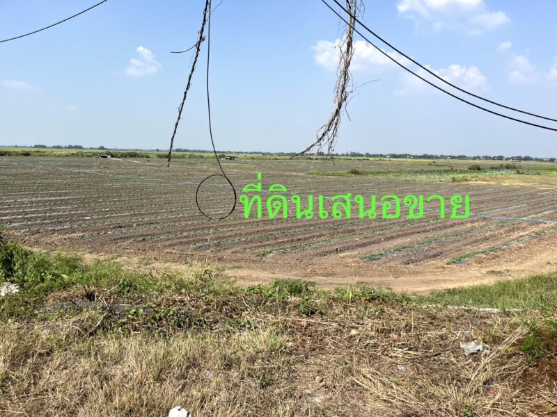 ขายที่ดินติดถนนสายอยุธยา อ่างทอง 083 610 6693