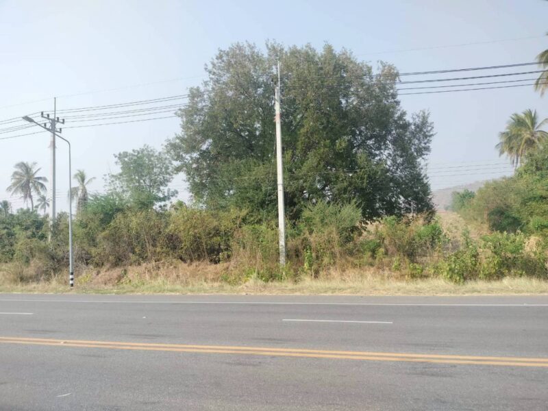 ขายที่ดินราคาถูก ติดสี่เลน ตากฟ้า นครสวรรค์