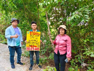 ขายที่ดินซอยไอยราราคาดี