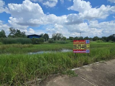 ขายด่วนที่ดิน 1 ไร่ ติดถนนคอนกรีต ซอย เคหะการเกษตร 49 บางบัวทอง นนทบุรี