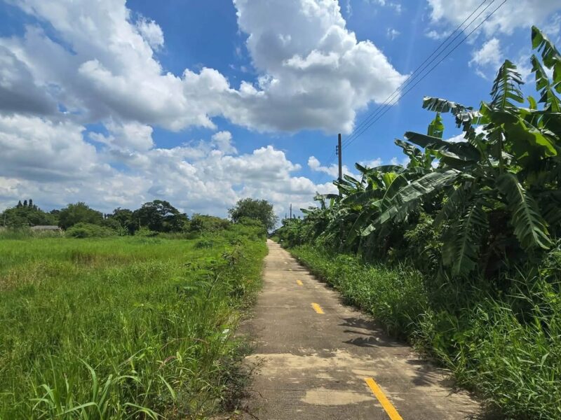 ขายด่วนที่ดิน 1 ไร่ ติดถนนคอนกรีต ซอย เคหะการเกษตร 49 บางบัวทอง นนทบุรี