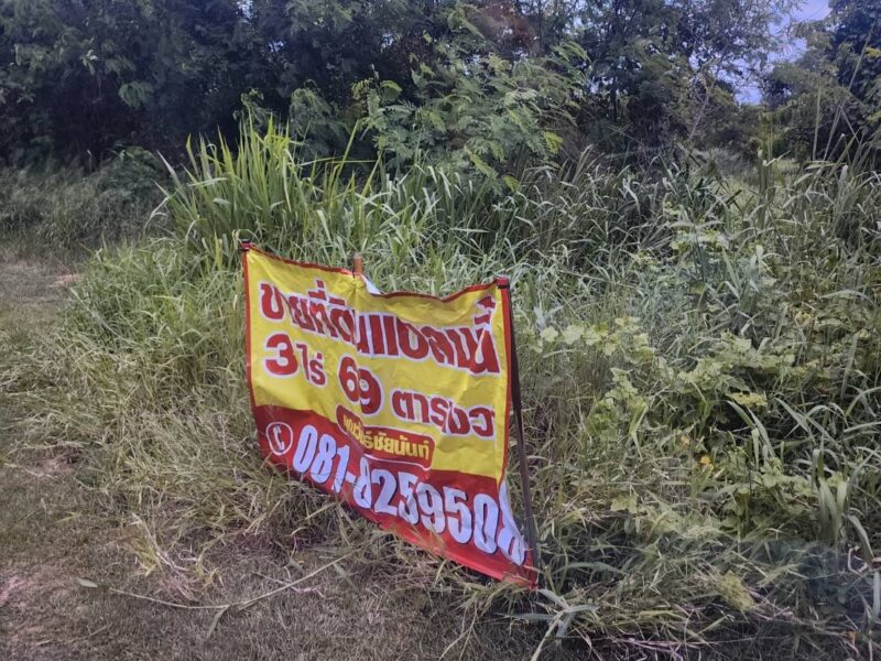 ขายด่วน! ที่ดิน 3 ไร่ ตำบลหนองระบัวระเหว จังหวัดชัยภูมิ ทำเลดี